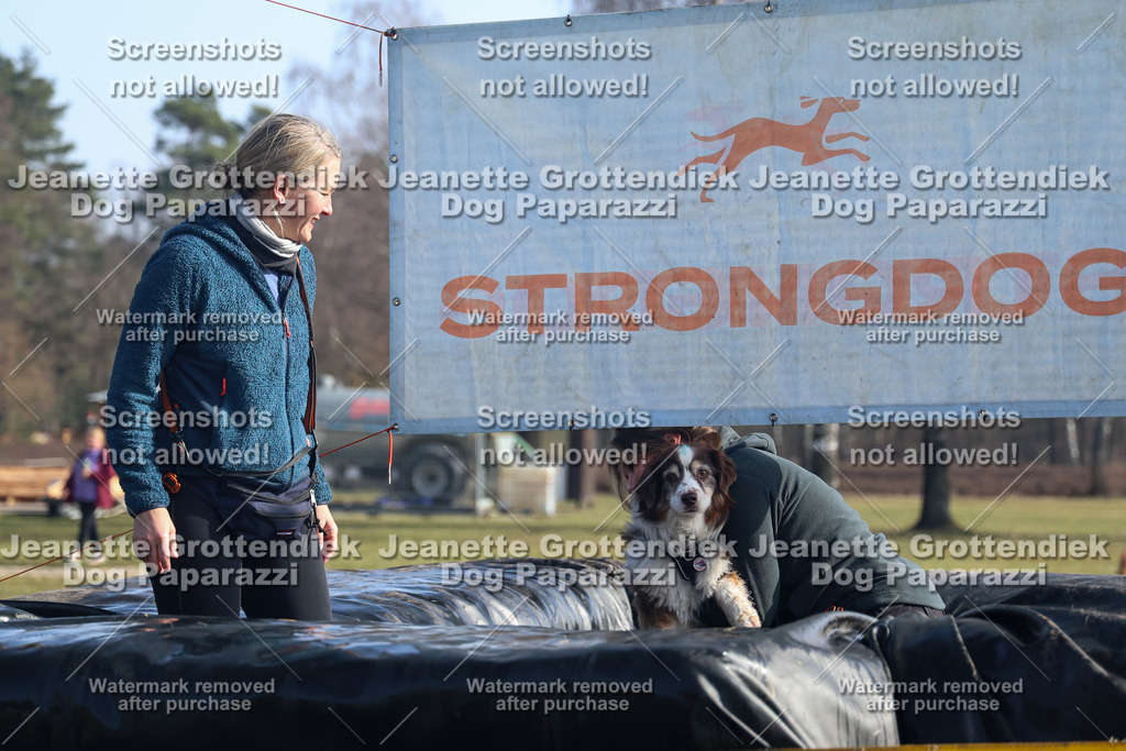Dog Paparazzi - Strongdog North Mrz26-1317 | Dog Paparazzi Jeanette Grottendiek Fotografie & Videografie - Realisiert mit Pictrs.com