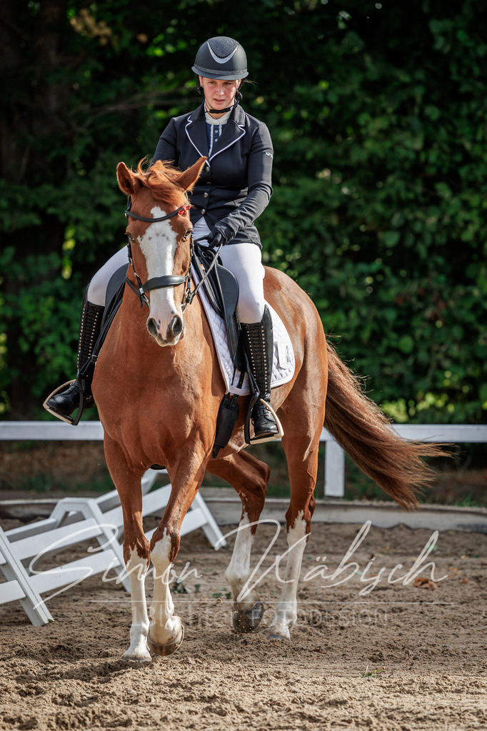 20260905-_3LI7083 | Tierfotografie Pferde, Hunde, Katzen, Haustiere.
Turnierfotografie Reitturniere, Reiten, Springreiten, Dressur in Hanau, dem Main-Kinzig-Kreis und dem Rhein-Main- Gebiet um Frankfurt