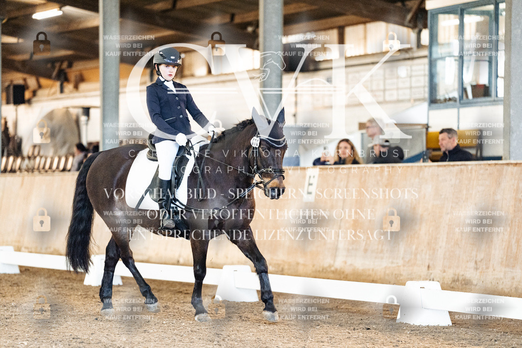 CK906712 | Turnierfotografie Pferdefotografie Trier Rheinland-Pfalz Pferdesport Reitsport Tierfotografie Sportfotografie Pferdevideo Pferdevideografie Equestrianvideography equestrianphotography  - Realized with Pictrs.com