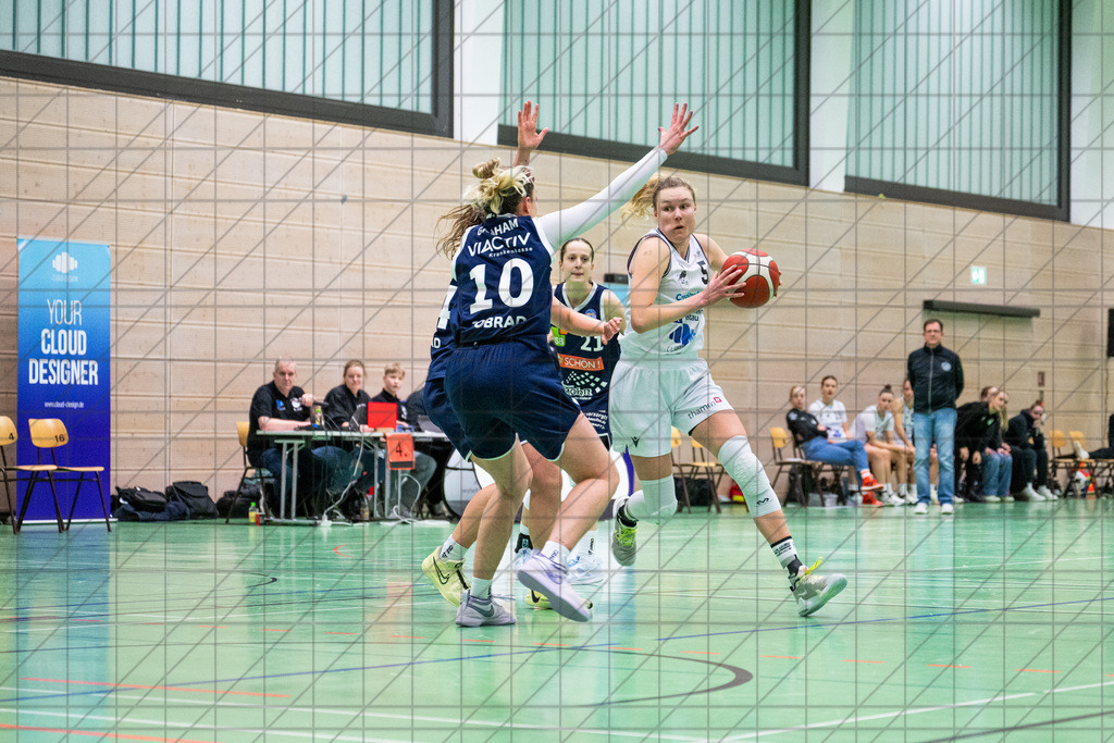2. DBBL Nord 24/25 | 19.01.2025 | BBC OS vs. VfL VIACTIV-AstroLadies Bochum | 2. DBBL Nord 24/25 | 19.01.2025 | BBC OS vs. VfL VIACTIV-AstroLadies Bochum - - - - - CREDIT, www.bullenfotos.de, Martin König, Hörner Weg 40, D-49078 Osnabrück, +4917663732967, Nutzung und Weitergabe nur zu den vereinbarten Zwecken. Presseanfragen an Urheber. Alle Rechte beim Urheber. - - - - - - Realisiert mit Pictrs.com