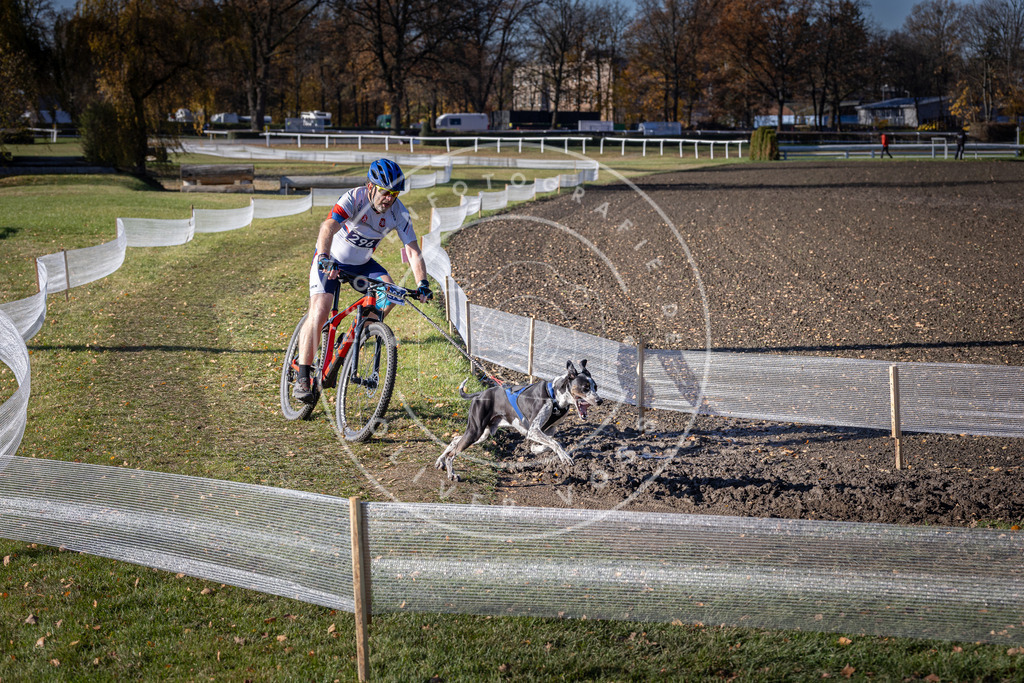 CaniXpix_DV3A5994 | Hundefotografie, Tierfotograf, Pfotenfotografie, Fotoshooting Hund, Hunde Portrait, Hundesport, Hundeportraits, Heideshooting, Hunde, Sportfotograf, Hundefotograf, Turnierhundsport, THS,  - Realisiert mit Pictrs.com