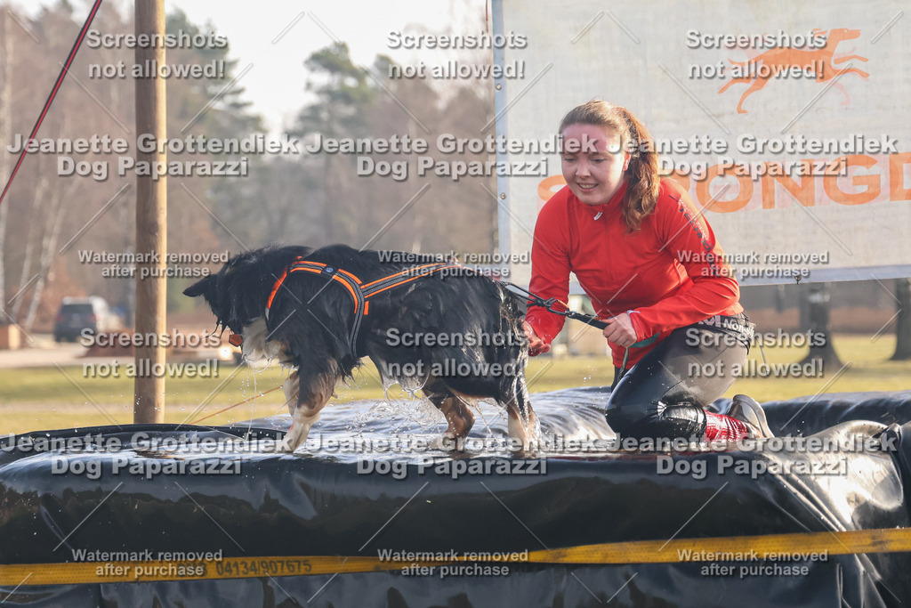 Dog Paparazzi - SD North 0326 900930-135 | Dog Paparazzi Jeanette Grottendiek Fotografie & Videografie - Realisiert mit Pictrs.com