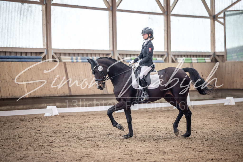 20251011-_3LI0309 | Tierfotografie Pferde, Hunde, Katzen, Haustiere.
Turnierfotografie Reitturniere, Reiten, Springreiten, Dressur in Hanau, dem Main-Kinzig-Kreis und dem Rhein-Main- Gebiet um Frankfurt