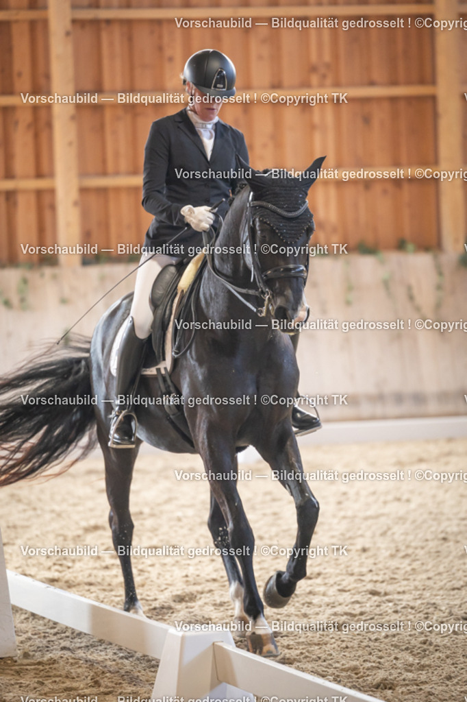 _D5A2688 | Emotionale Pferde- & People-Fotografie rund um Heidelberg, Leimen & Umgebung. Natürliche Fotos von Pferd, Mensch & Familie. Jetzt Termin sichern!