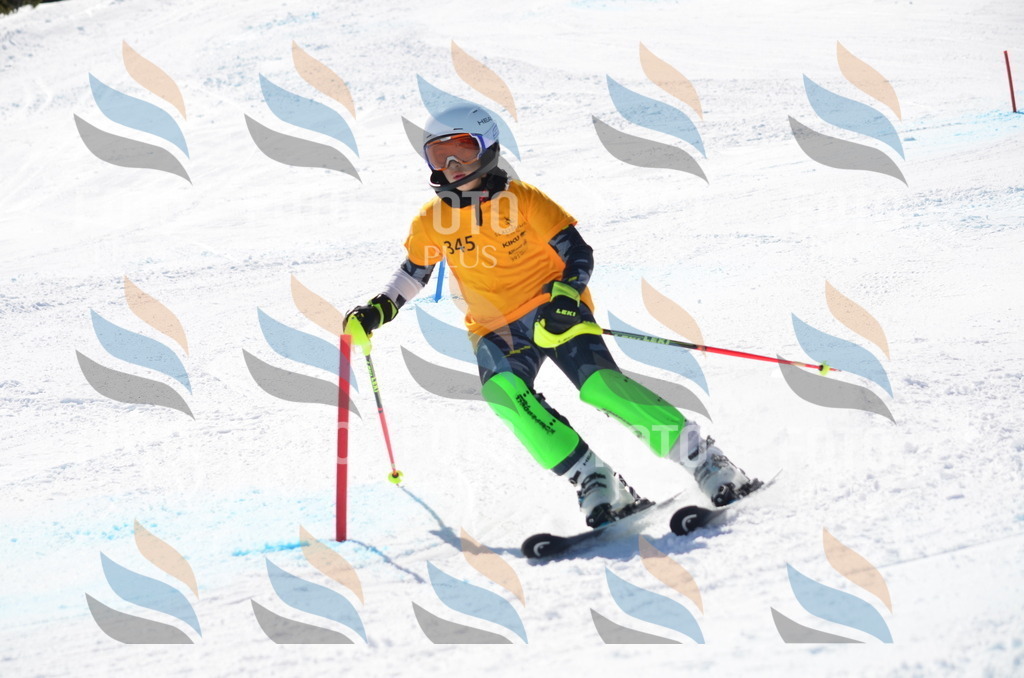 C9760 | holidayphoto