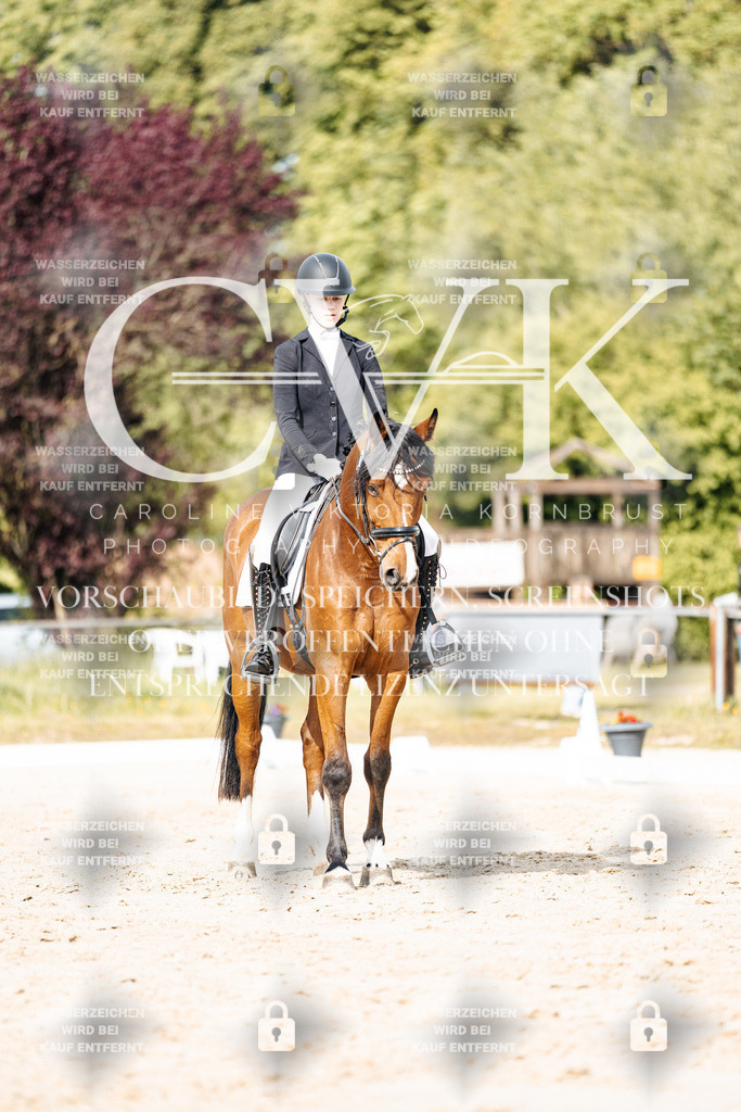 CK900498 | Turnierfotografie Pferdefotografie Trier Rheinland-Pfalz Pferdesport Reitsport Tierfotografie Sportfotografie Pferdevideo Pferdevideografie Equestrianvideography equestrianphotography  - Realisiert mit Pictrs.com