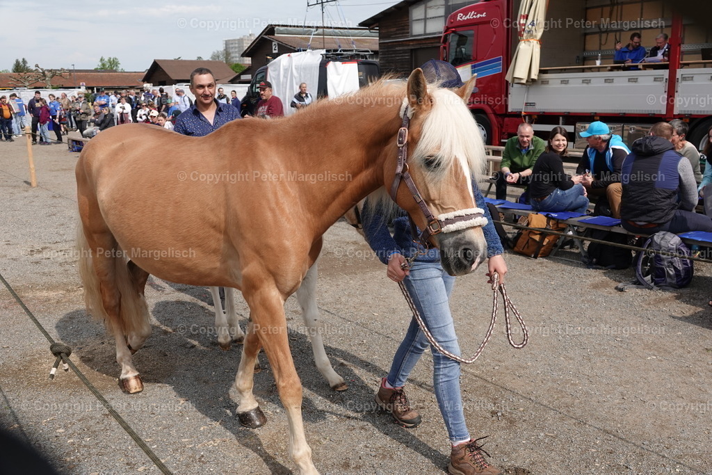 DSC03635 | Schwingen - Realisiert mit Pictrs.com