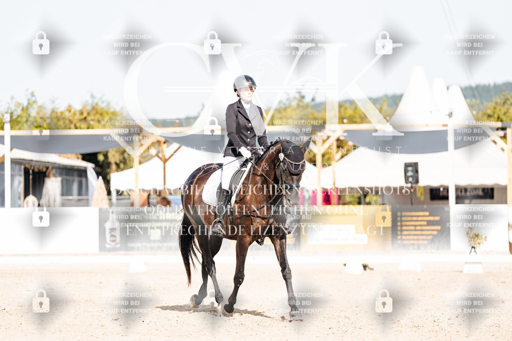 CK905573 | Turnierfotografie Pferdefotografie Trier Rheinland-Pfalz Pferdesport Reitsport Tierfotografie Sportfotografie Pferdevideo Pferdevideografie Equestrianvideography equestrianphotography  - Realisiert mit Pictrs.com