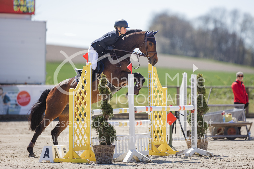 220416_3_A-Springen2-421 | Frühlingsfest der Pferde
Herford
16.April 2022
03/2 Sprigprüfung mit steigenden Anforderungen Kl. A** geschlossen 44-481 RLP