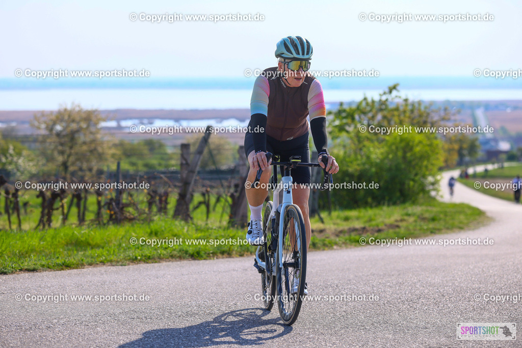 TRA_0645 | Neusiedlersee Radmarathon 2026@sportshot_your_pictrs #yourpictures#roadtowm2029 #nrm #neusiedlerseeradmarathon #neusiedlersee #neusiedlerseetourismus #burgenland #mörbisch #nrm26 #burgenlandtourismus #voglundco #poweredbyburgenlandtourismus #radsport #rad #marathon #ucigranfondo #visitburgenland #ucigranfondoworldseries