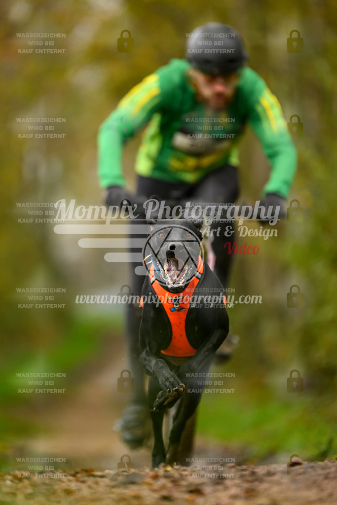 MompixPhotography_20TSB_E6_Bike-69 | PayLife