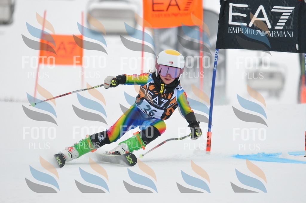 DSC_7511 | holidayphoto