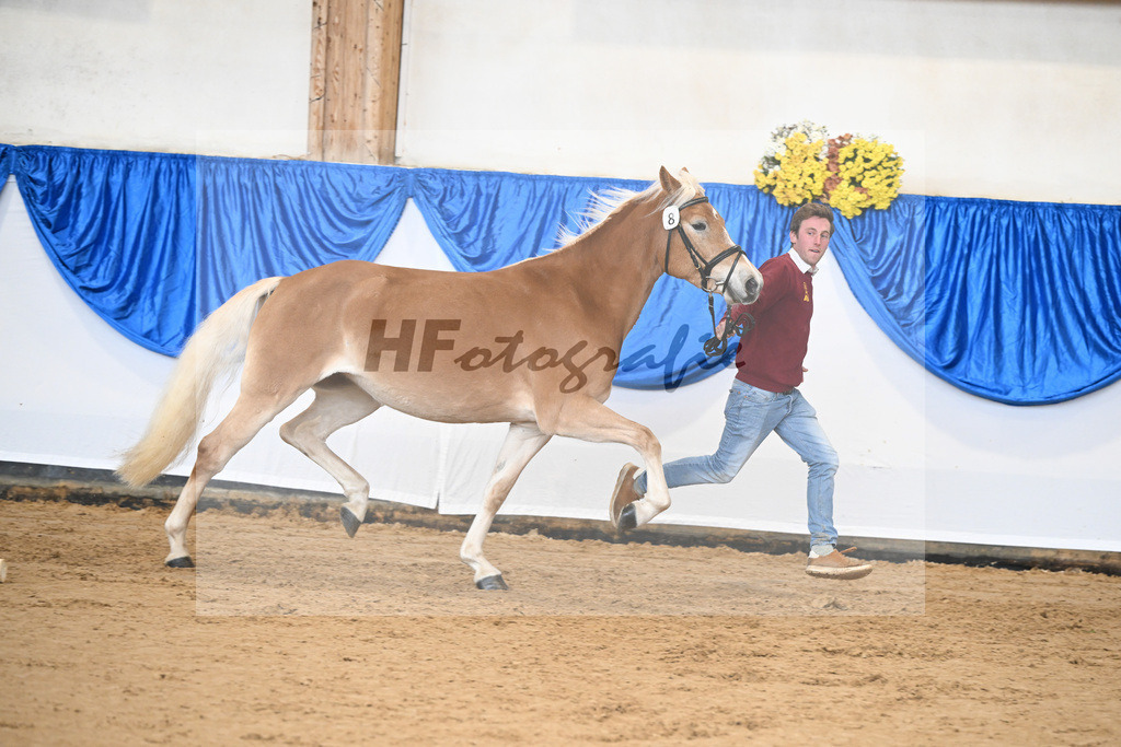 Bl. Band Kat-Nr. 8 Nancy v. Bugatti_Stadler_48251366 | hf-fotografie - Realisiert mit Pictrs.com