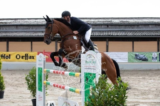 2B4A1170 | pixelfaenger - Realisiert mit Pictrs.com