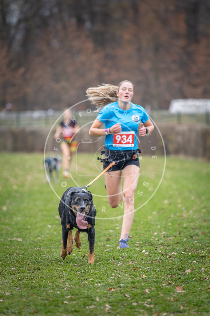 CaniXpix_DV3A7217 | Hundefotografie, Tierfotograf, Pfotenfotografie, Fotoshooting Hund, Hunde Portrait, Hundesport, Hundeportraits, Heideshooting, Hunde, Sportfotograf, Hundefotograf, Turnierhundsport, THS,  - Realisiert mit Pictrs.com