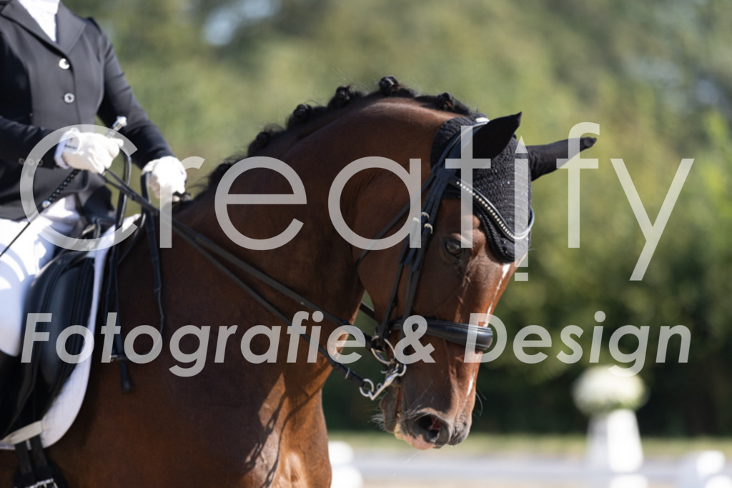 IMG_2424 | Creatify Fotografie