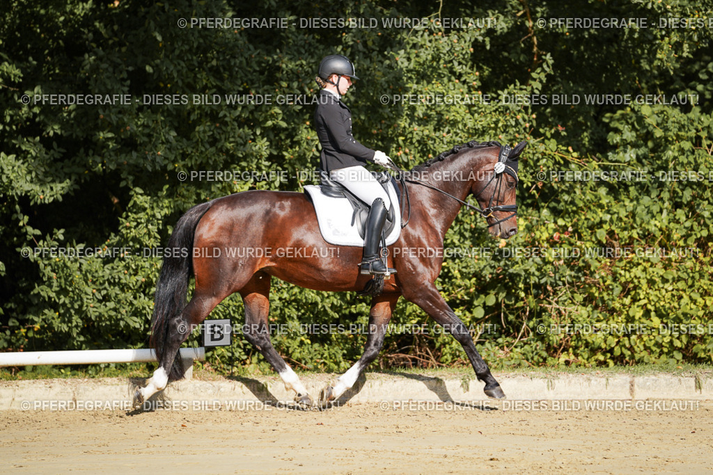 DSC07975 | Pferdegrafie