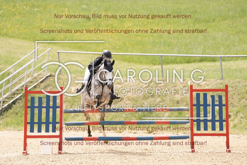 DSC06635 | Springturnier_Ehingen_Mai_2026, Anika_Ramminger, Hakuna_Matata_32