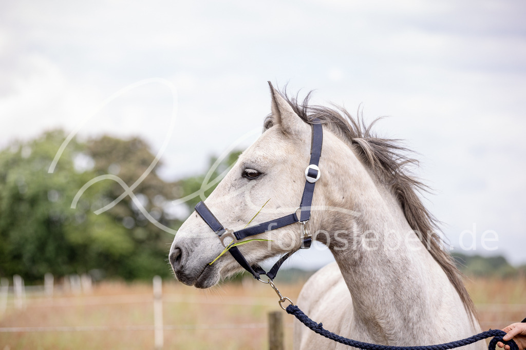846A0866 | fotosleben - Realisiert mit Pictrs.com