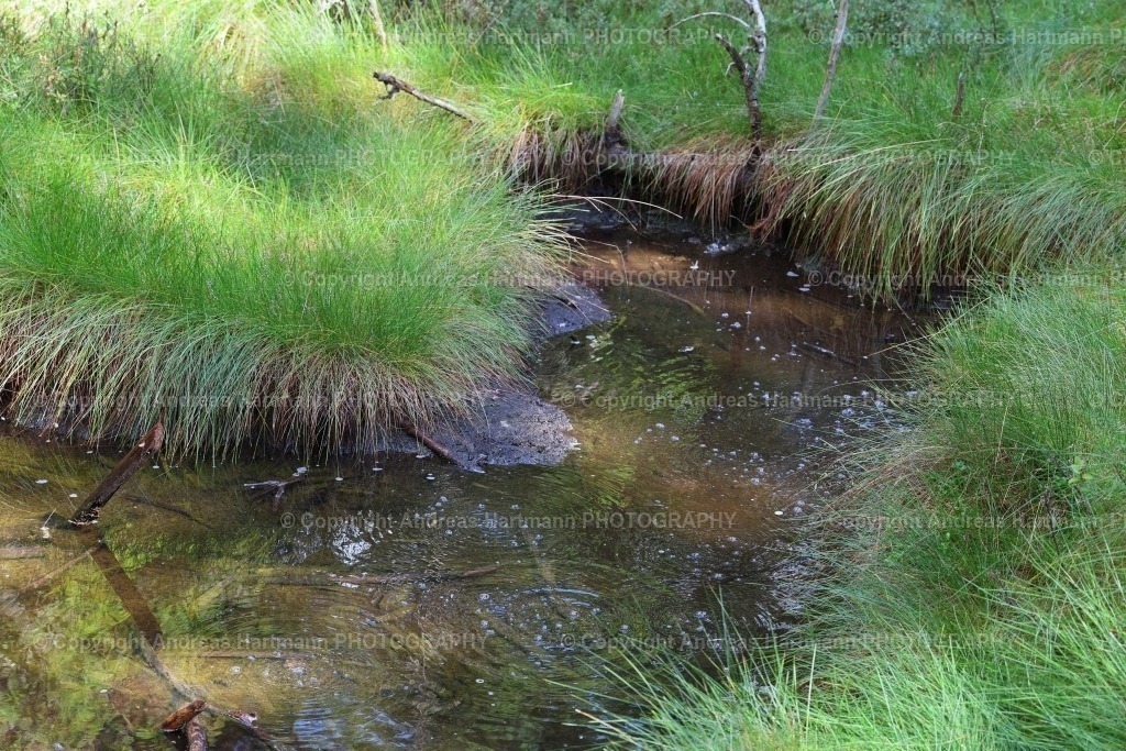 Smraďochquelle Marienbad | Smraďochquelle Marienbad - Realisiert mit Pictrs.com