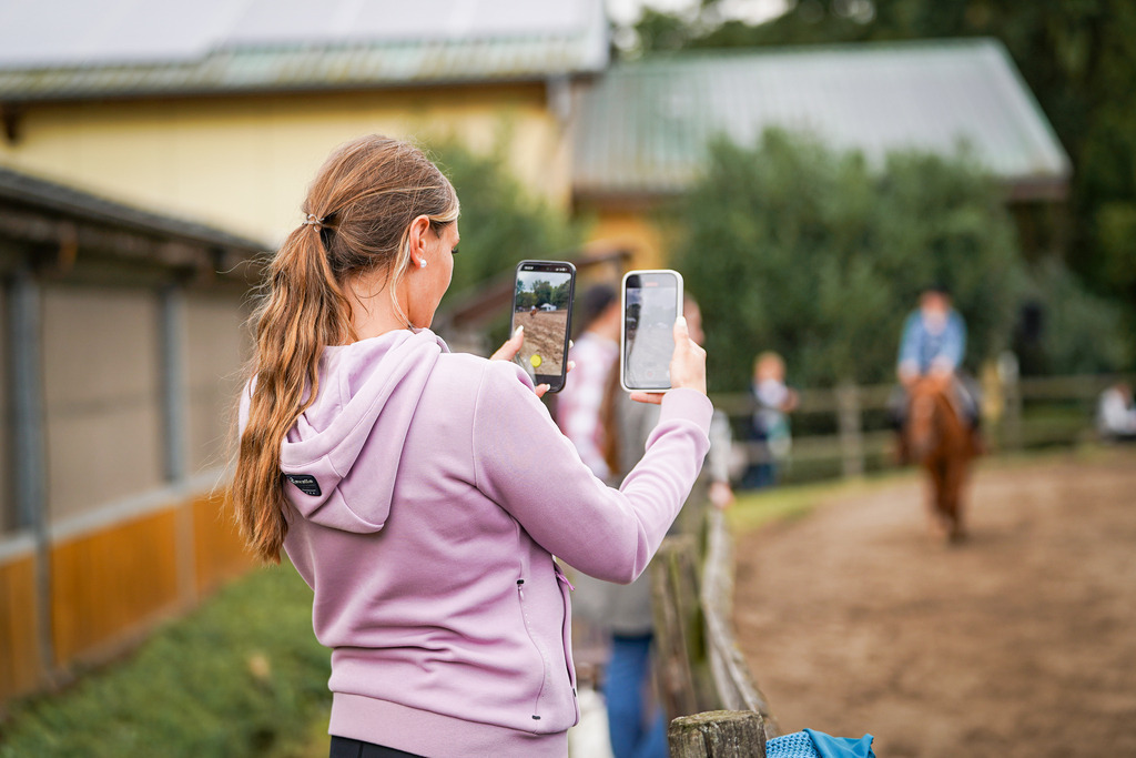 DSC08600 | Pferdegrafie