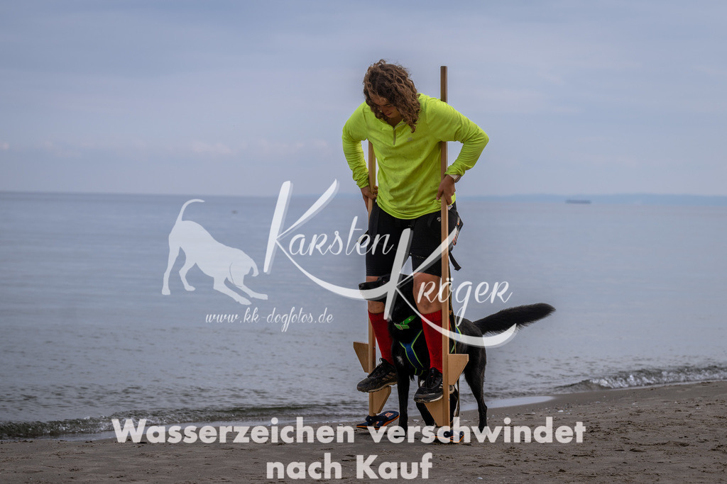 1213_ZZ90374 | kk-dogfotos
