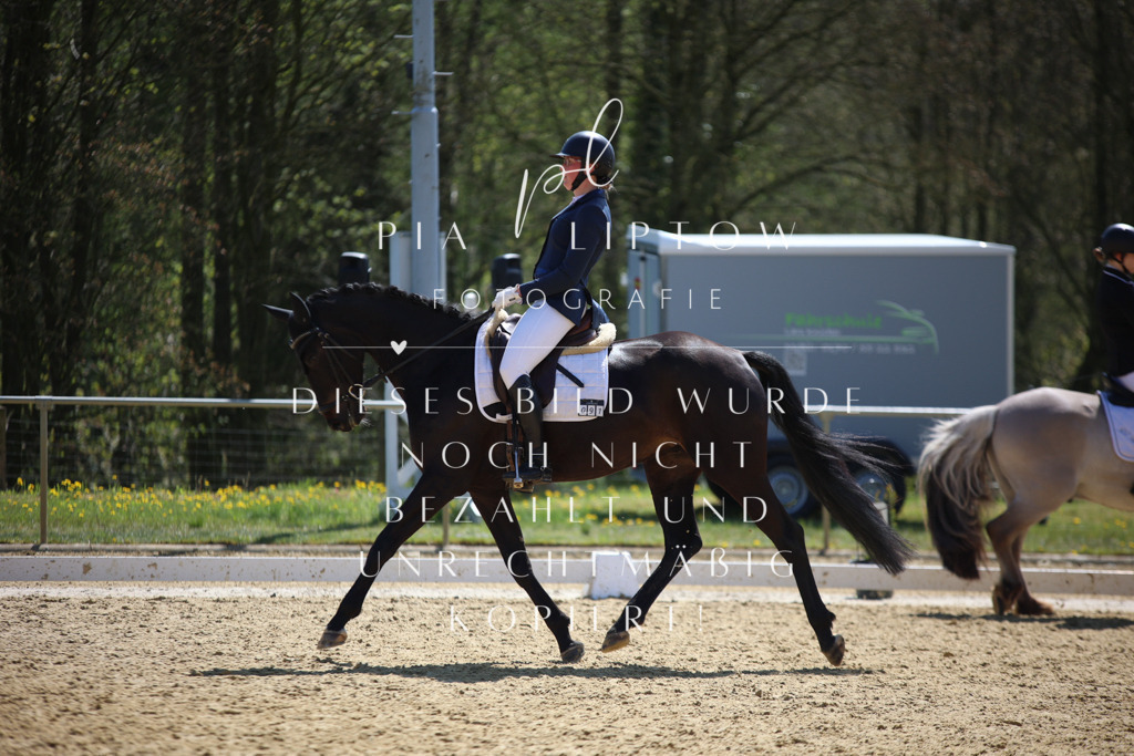 IMGT2041 | pl-fotografie