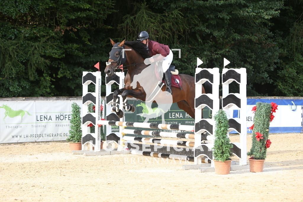 DL2Q0611 | Willkommen bei Brunnmayr - Design & Fotografie – Ihrem Spezialisten für Reitturniere und Pferdeveranstaltungen in Oberösterreich, Salzburg und Bayern! Seit über 17 Jahren sind wir leidenschaftlich dabei.