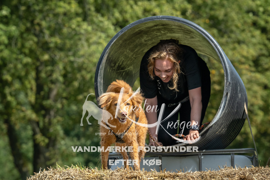 1307_ZZ92233 | kk-dogfotos