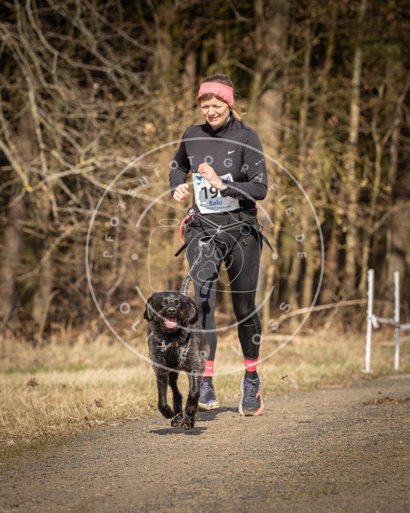 DV3A5856 | Hundefotografie, Tierfotograf, Pfotenfotografie, Fotoshooting Hund, Hunde Portrait, Hundesport, Hundeportraits, Heideshooting, Hunde, Sportfotograf, Hundefotograf, Turnierhundsport, THS,  - Realisiert mit Pictrs.com