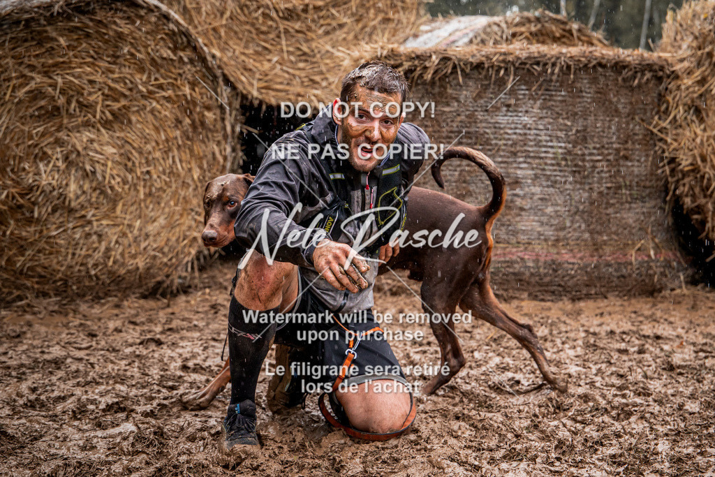 nelerasche_Hunsrück_So09-11_115 | nelerasche
