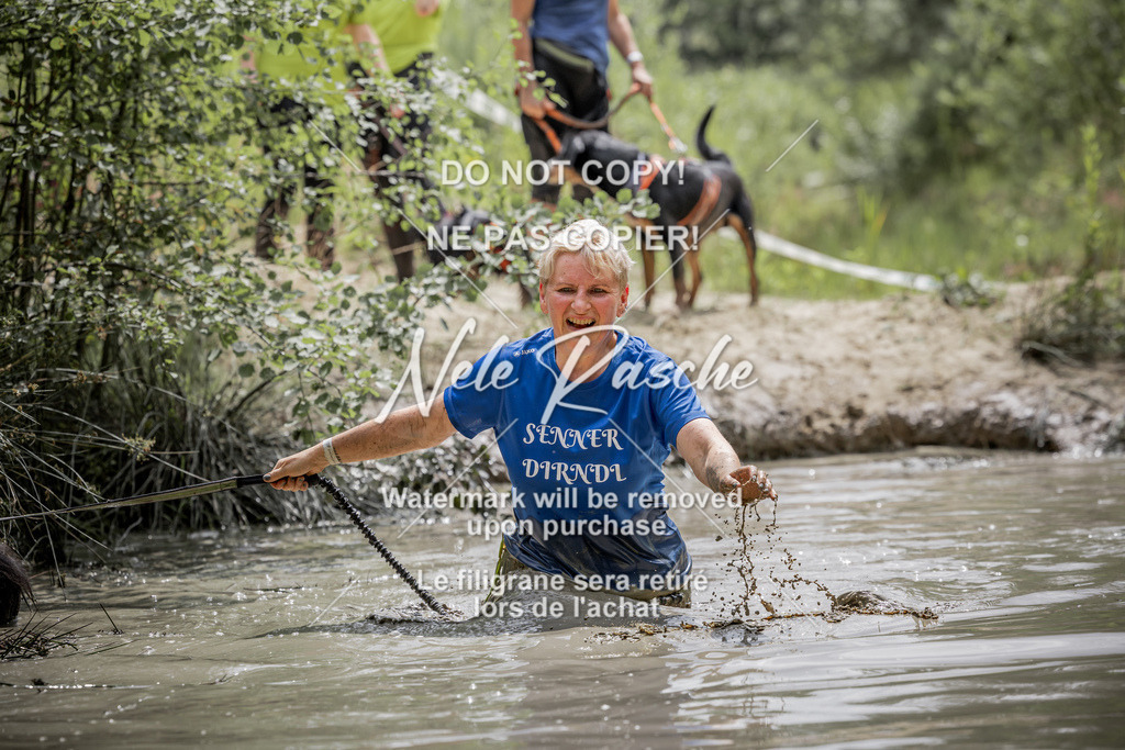 nelerasche_so1330-1400_85 | nelerasche