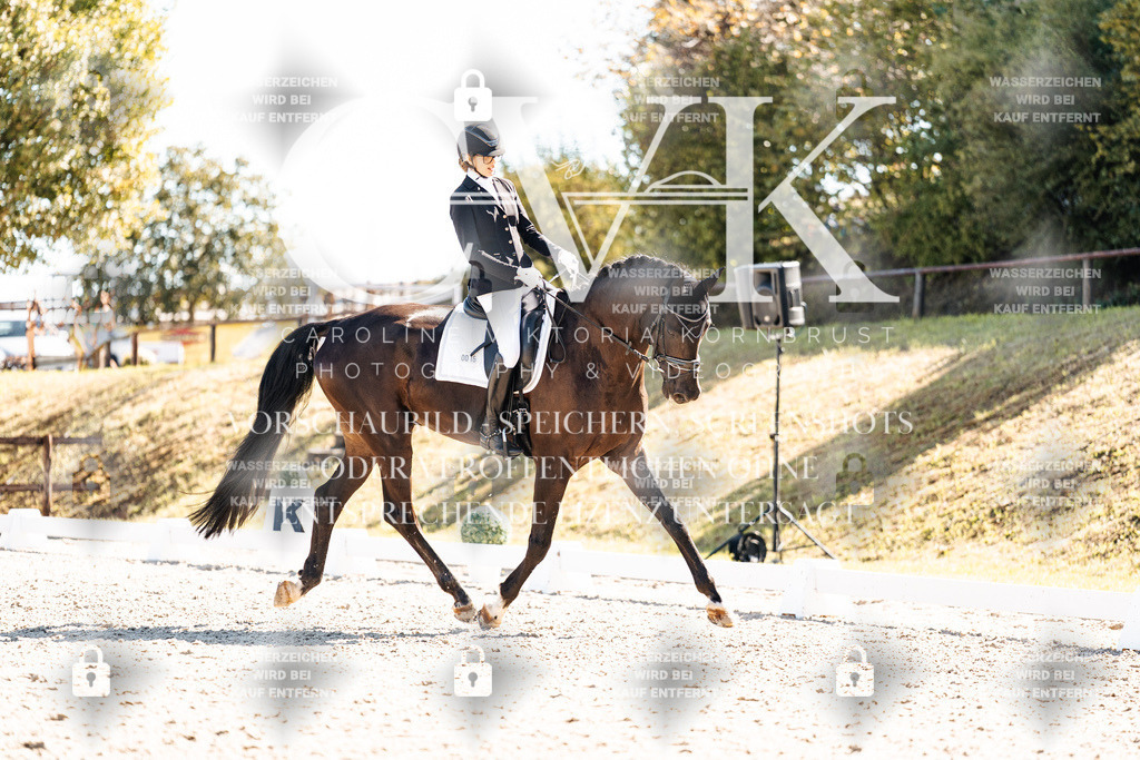 CK908972 | Turnierfotografie Pferdefotografie Trier Rheinland-Pfalz Pferdesport Reitsport Tierfotografie Sportfotografie Pferdevideo Pferdevideografie Equestrianvideography equestrianphotography  - Realisiert mit Pictrs.com