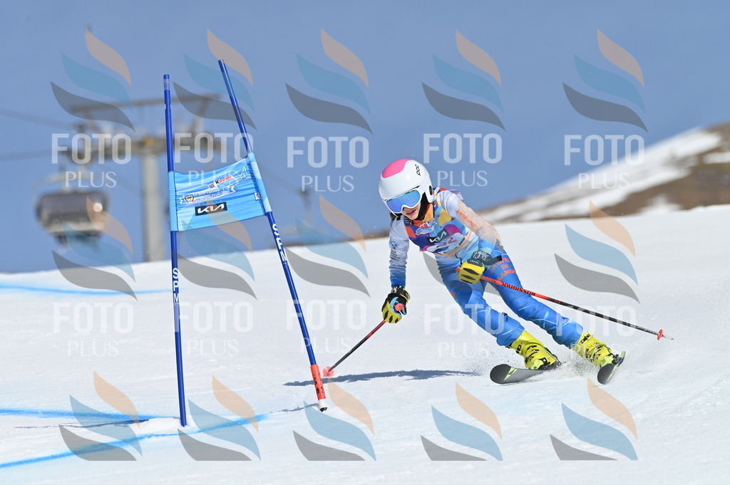 BGV_8764 | holidayphoto