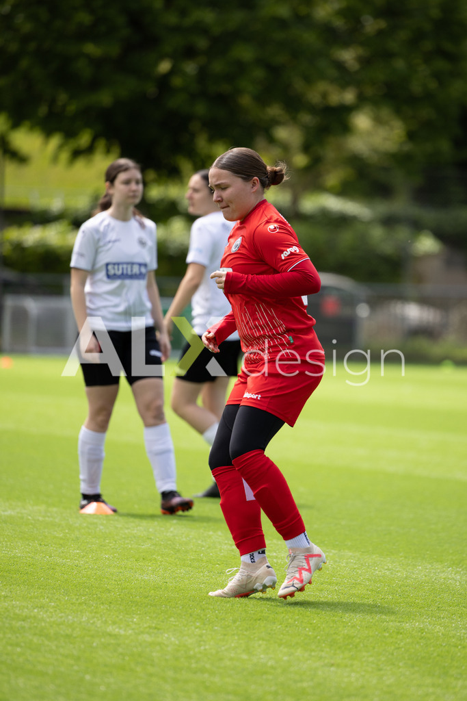 Fußball I Frauen I Saison 2025-2026 I Frauen 3. Liga | FVRZ Gruppe 2 | 18. Spieltag I Spielvereinigung Schaffhausen Damen 1 - Team Furttal Zürich I 17.05.2026 | Hochwertige Sportfotos kaufen & lizenzieren für Medien, Vereine, Agenturen & Sportler:innen. Entdecke professionelle Sportfotografie im Bildshop von Alexander Franzen. - Realisiert mit Pictrs.com