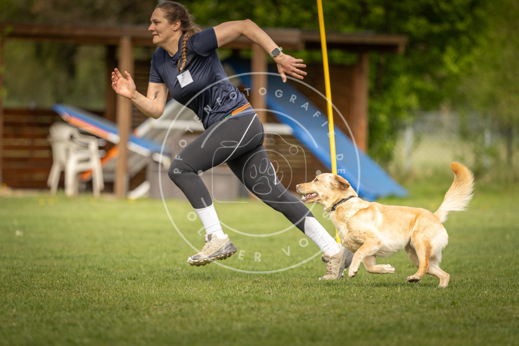 Pfotenfotografie_DV3A5111 | Hundefotografie, Tierfotograf, Pfotenfotografie, Fotoshooting Hund, Hunde Portrait, Hundesport, Hundeportraits, Heideshooting, Hunde, Sportfotograf, Hundefotograf, Turnierhundsport, THS,  - Realisiert mit Pictrs.com