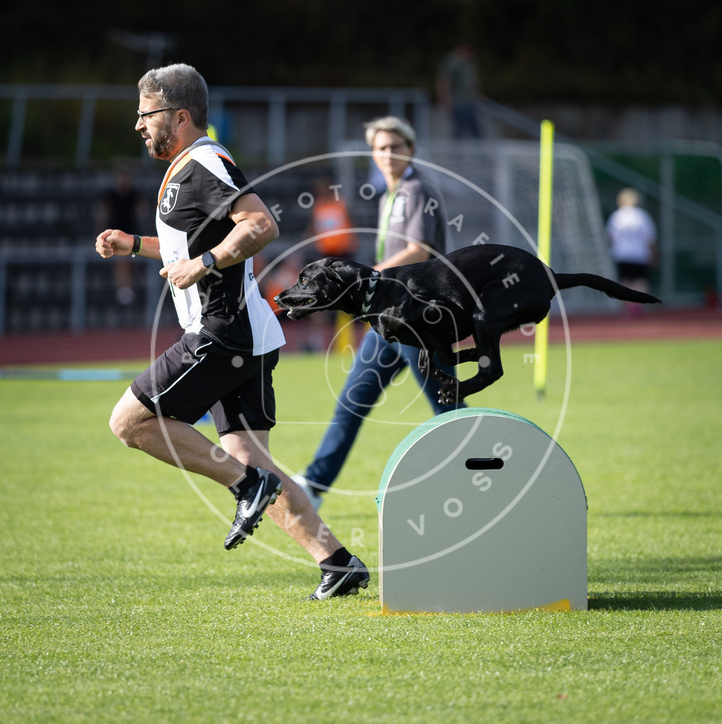 Pfotenfotografie_DV3A2395 | Hundefotografie, Tierfotograf, Pfotenfotografie, Fotoshooting Hund, Hunde Portrait, Hundesport, Hundeportraits, Heideshooting, Hunde, Sportfotograf, Hundefotograf, Turnierhundsport, THS,  - Realisiert mit Pictrs.com