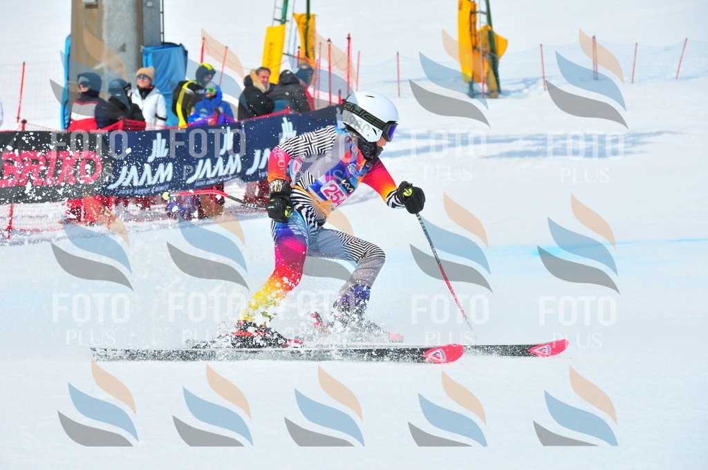 DSC_6124 | holidayphoto