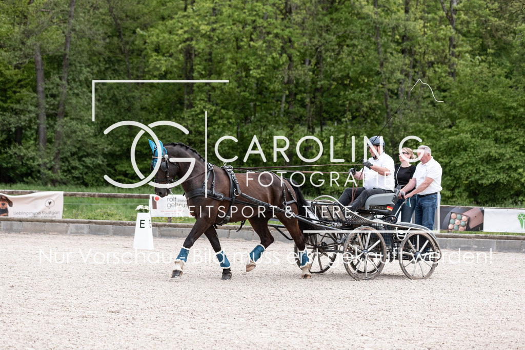 DSC_1029 | Turnierfotografin Carolin Gieschke, Turnierfotografie Carolin G Fotografie, Turnierfotos Kirchheim/Teck, Esslingen, Stuttgart, Bodenseekreis