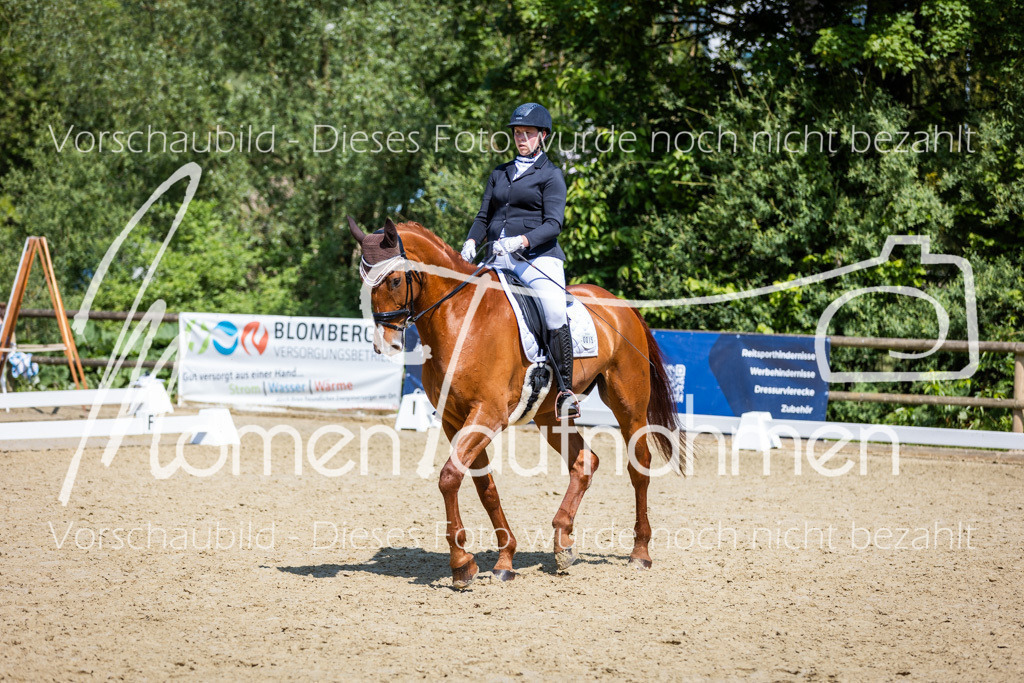 Donop24-L-Dre-070 | MomenTaufnahmen Pferdesportfotos