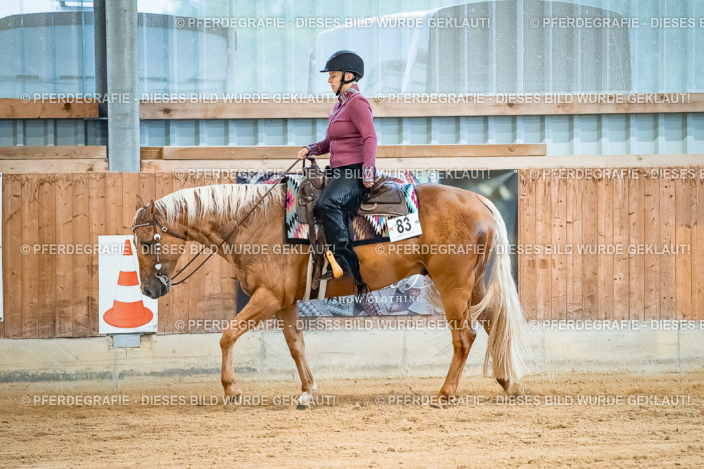 DSC00229 | Pferdegrafie