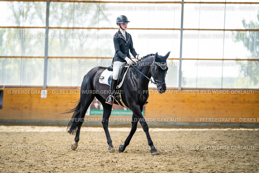 DSC05926 | Pferdegrafie