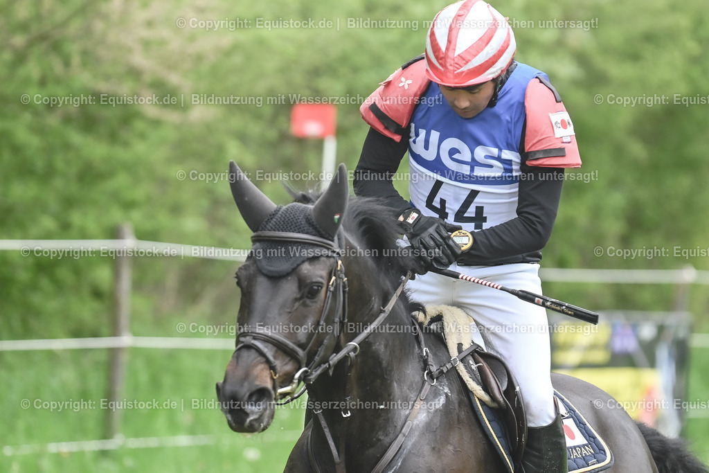 20230513_CCI4_Gelände_0564 | equistock