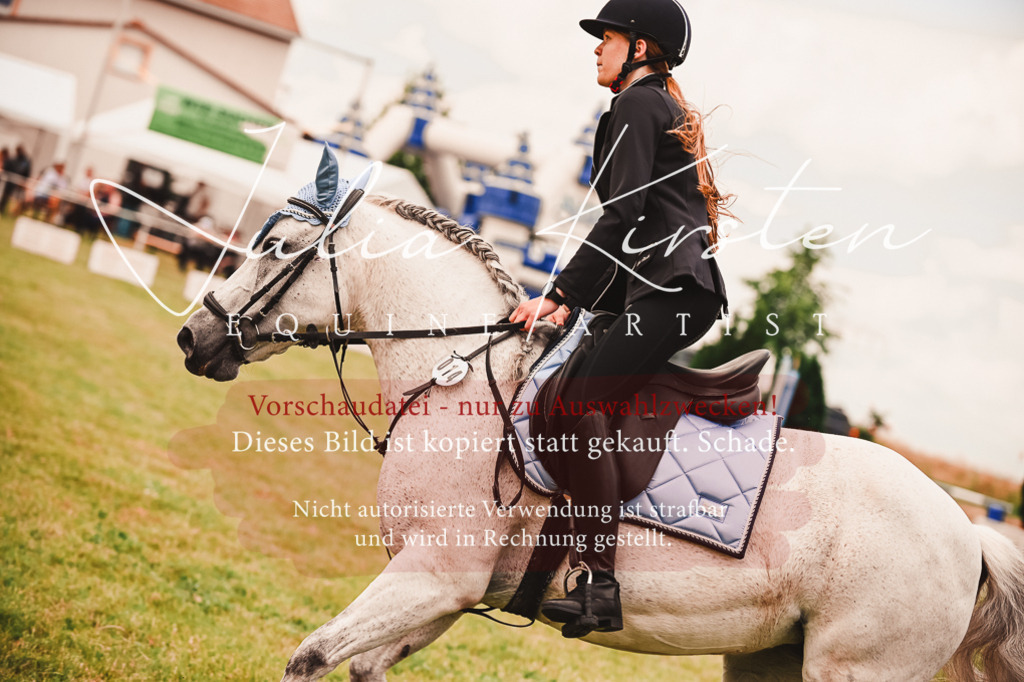 DSC_6979 | Pferde- und Turnierfotografie in Westsachsen. Pferdeportraits, Auftragszeichnungen und intuitive Kunst.