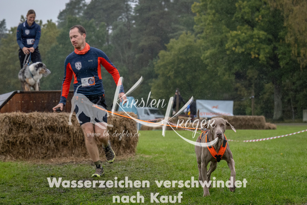 1302--15 | kk-dogfotos