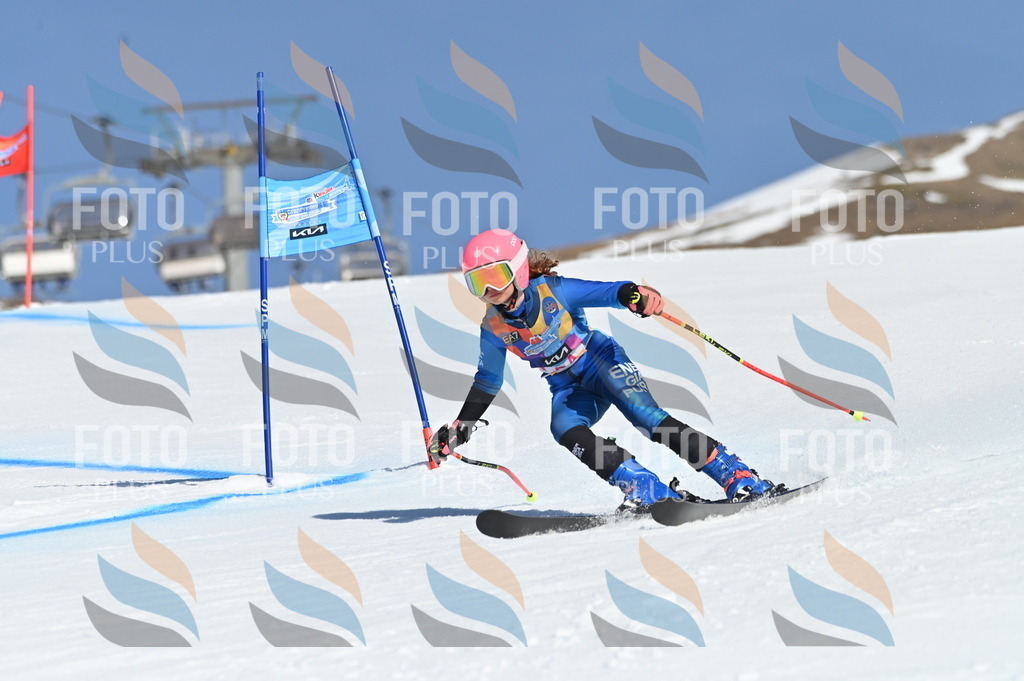 BGV_8226 | holidayphoto