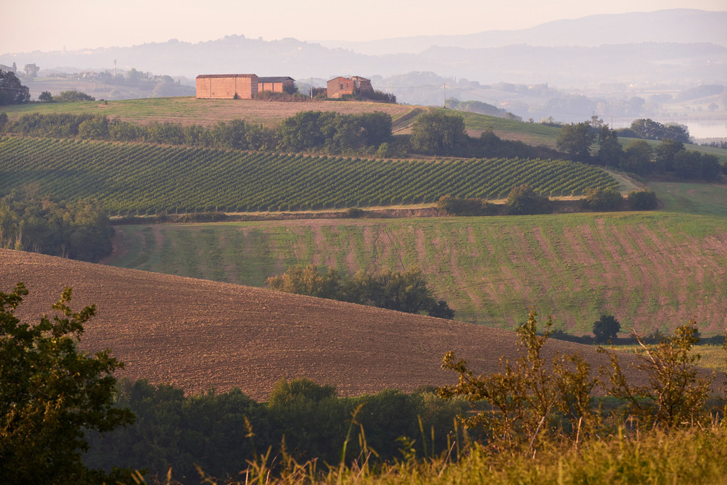 Huegellandschaft mit Bauernhaus | Pozzuolo, Italien - September 04, 2016: Huegellandschaft mit Bauernhaus. - Realisiert mit Pictrs.com