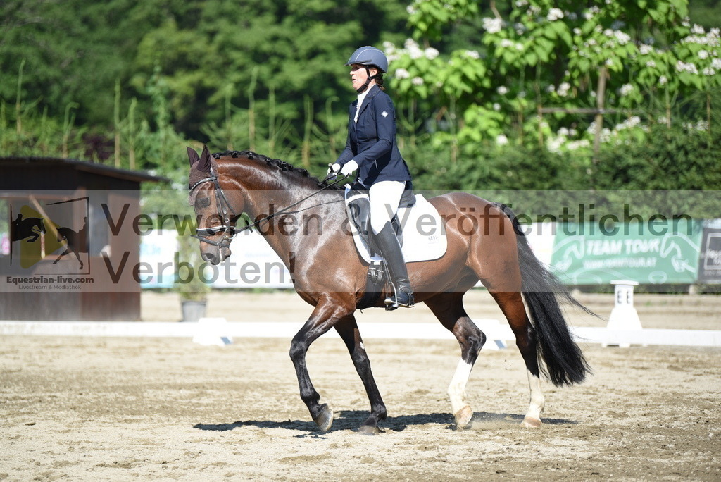 DSC_7781 | equestrian-live-com