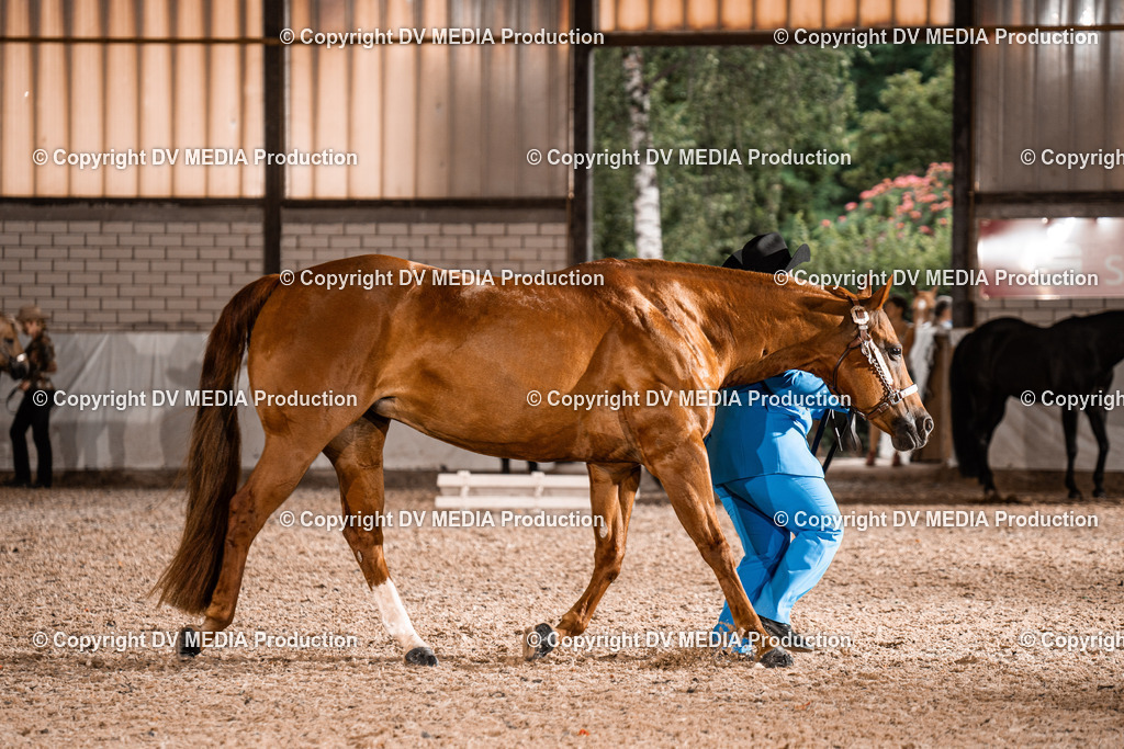 ZH200152 | dv-media-shop - Realisiert mit Pictrs.com