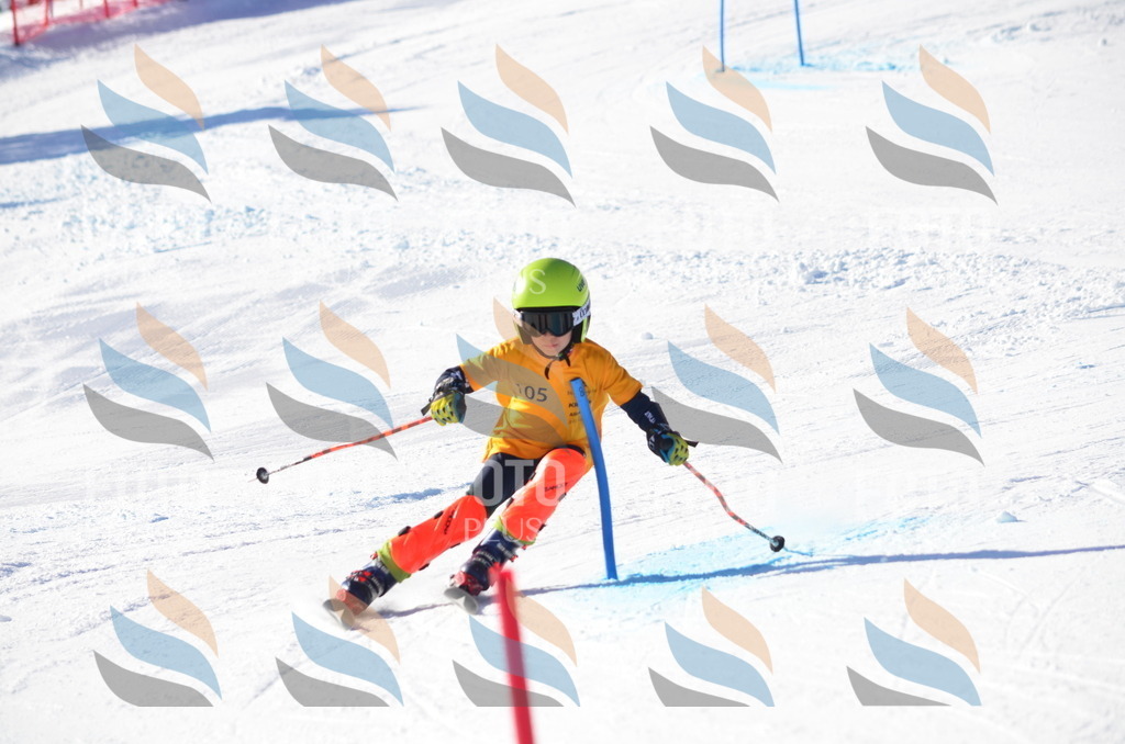 C6222 | holidayphoto